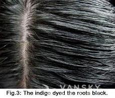 240429154333_Hair-Dyed with indigo-s.jpg